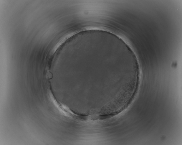 X0000114180993200910221709