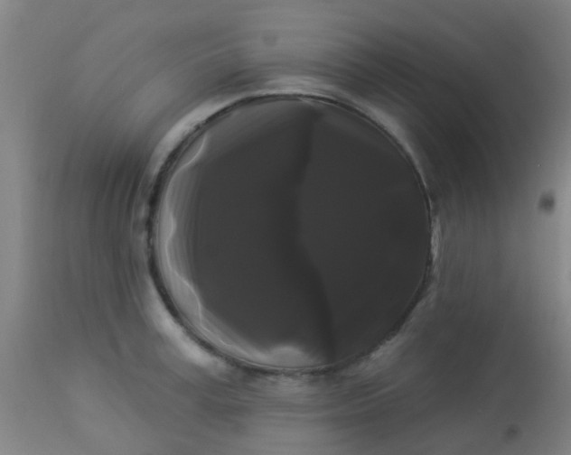 X0000114180995200910221709