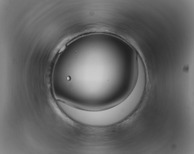 X0000114180997200910221709