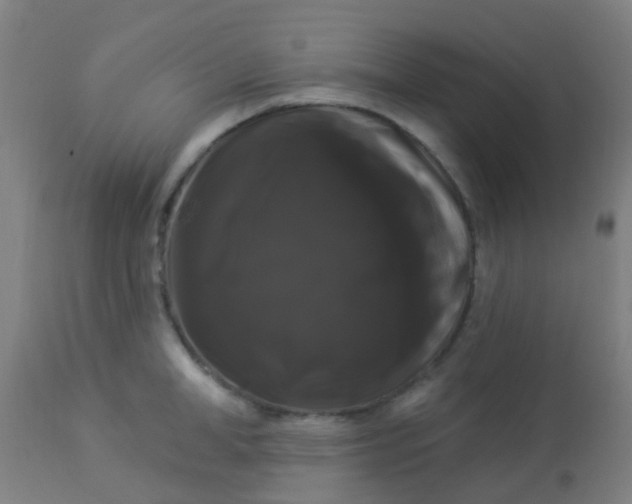 X0000114180998200910221709