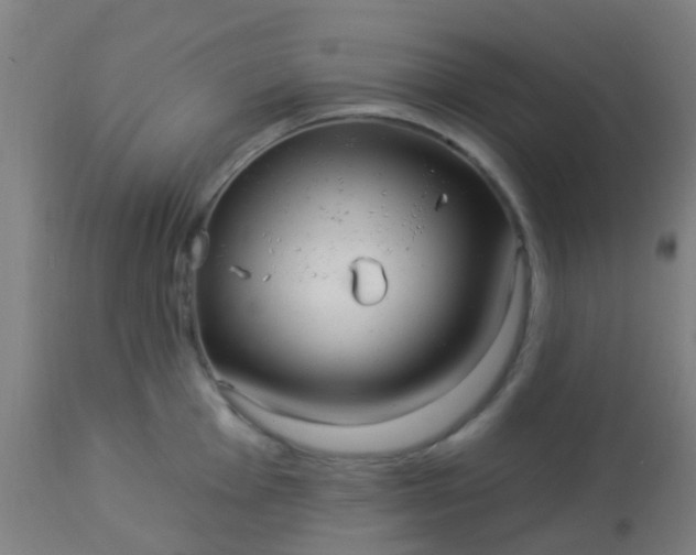 X0000114181001200910221709