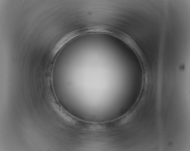 X0000114181002200910221709