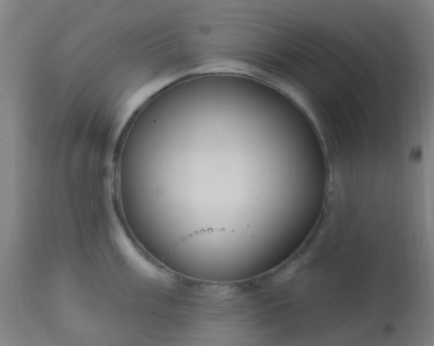 X0000114181003200910221709