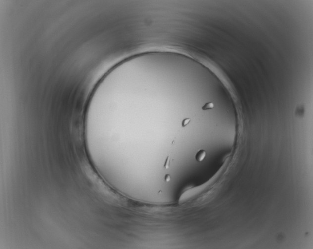 X0000114181004200910221709