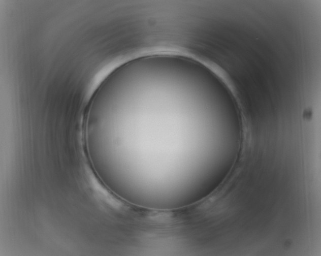 X0000114181006200910221709