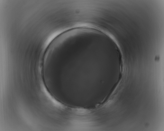 X0000114181007200910221709