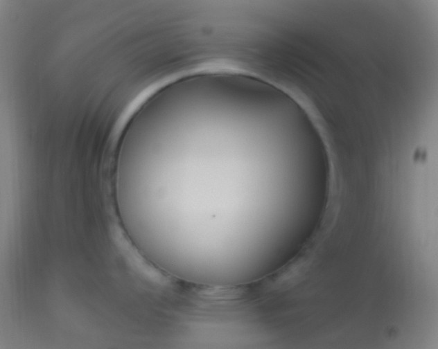 X0000114181008200910221709