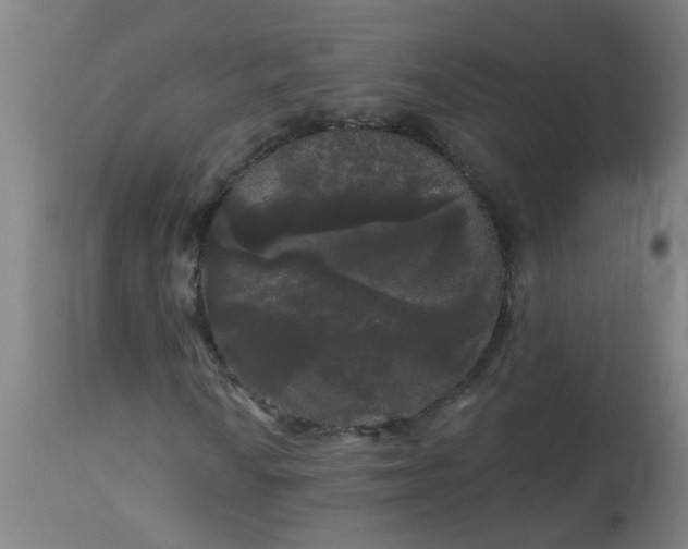 X0000114181010200910221708