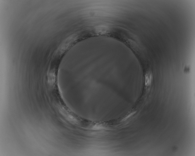 X0000114181011200910221708