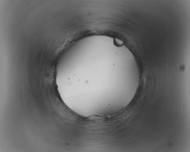 X0000114181012200910221708