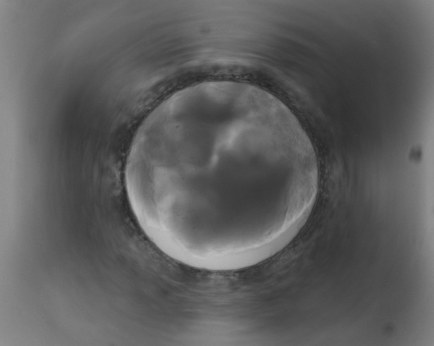 X0000114181013200910221708