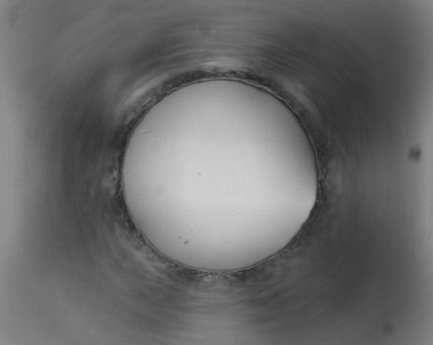 X0000114181015200910221708