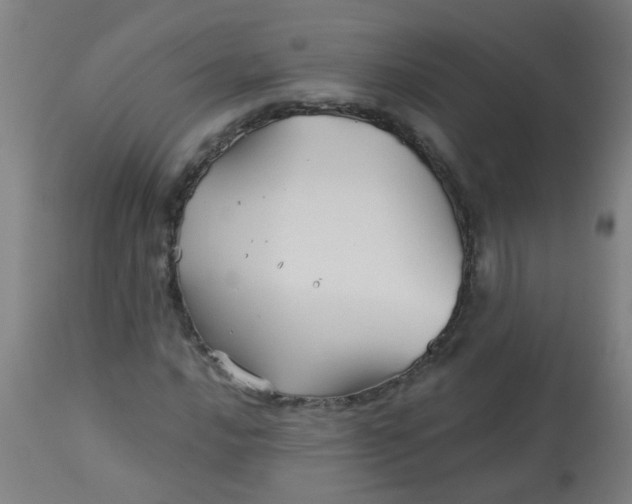 X0000114181016200910221708