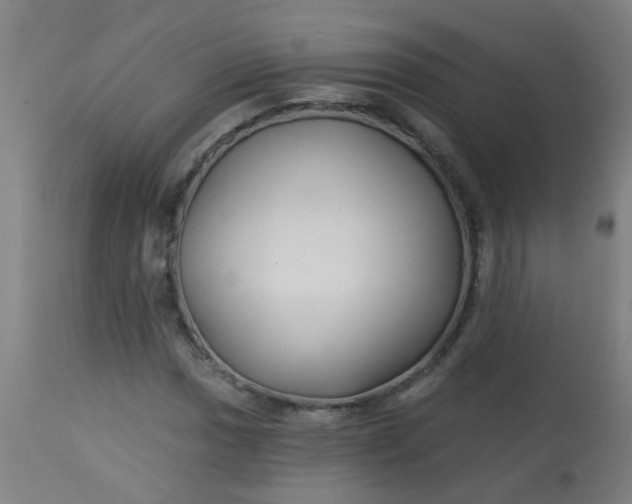 X0000114181017200910221708