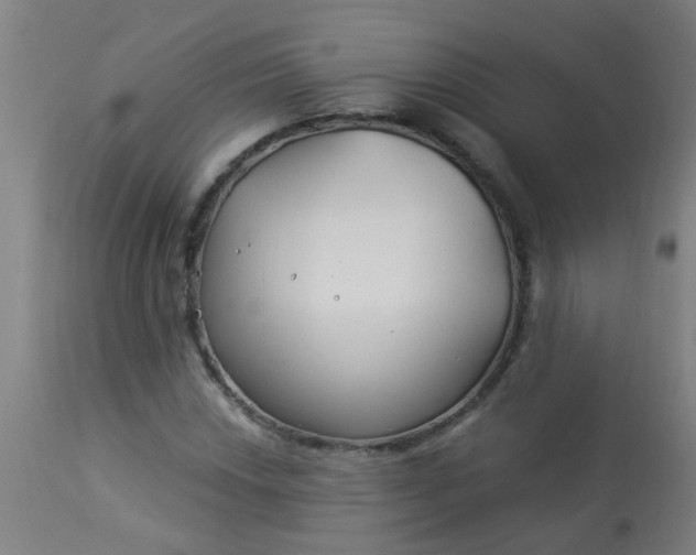 X0000114181018200910221708