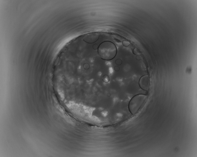 X0000114181019200910221708