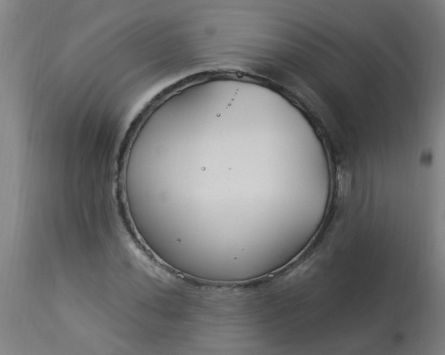 X0000114181020200910221708