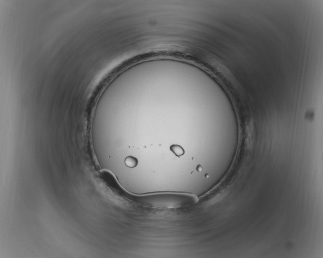 X0000114181021200910221708