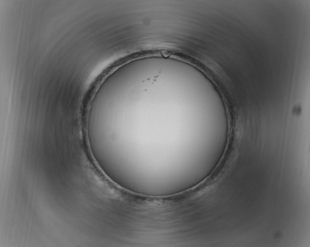 X0000114181022200910221708