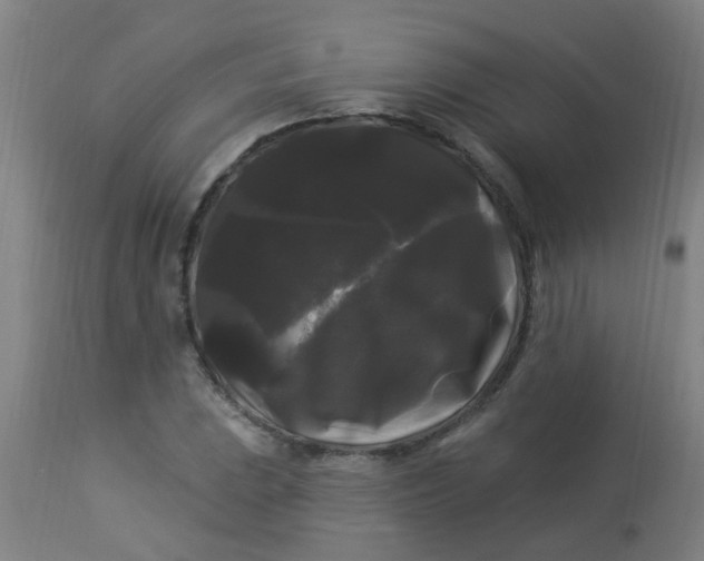 X0000114181023200910221708