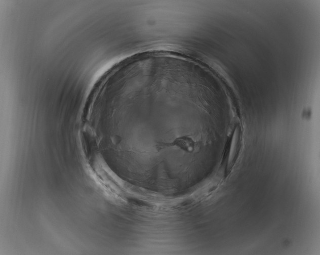 X0000114181024200910221708