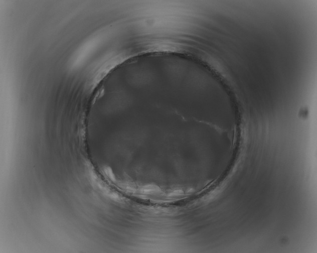 X0000114181025200910221708