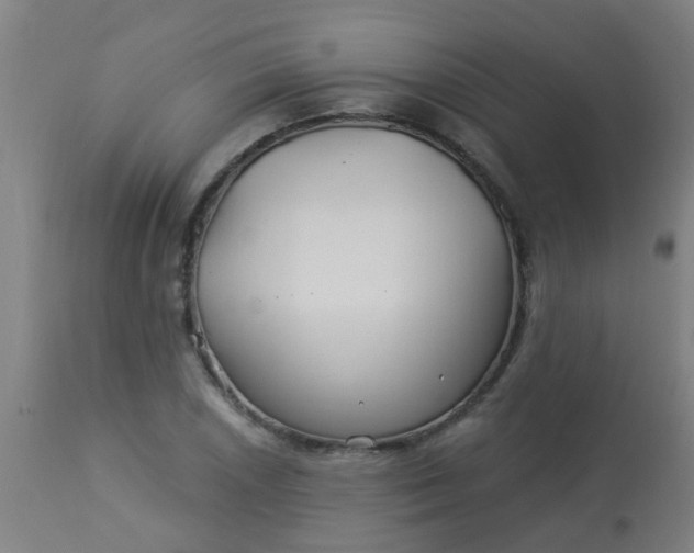 X0000114181026200910221708