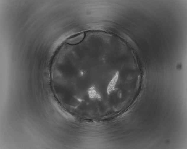 X0000114181027200910221709