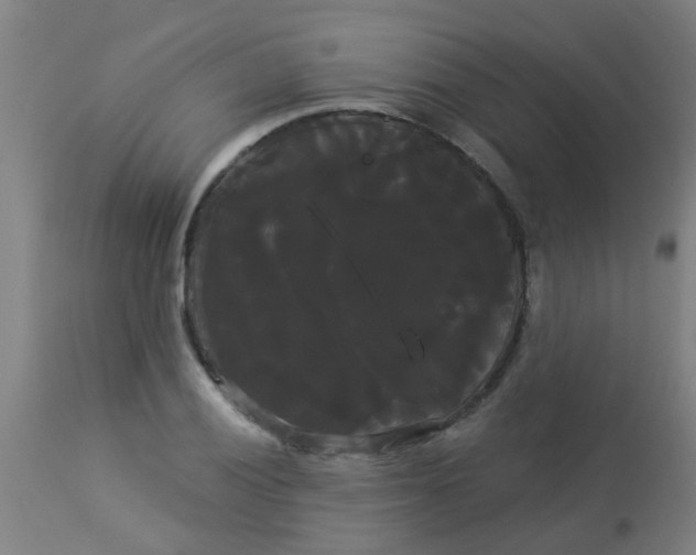 X0000114181028200910221709