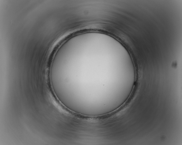 X0000114181029200910221709