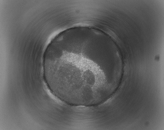 X0000114181030200910221709