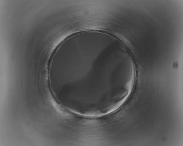 X0000114181031200910221709