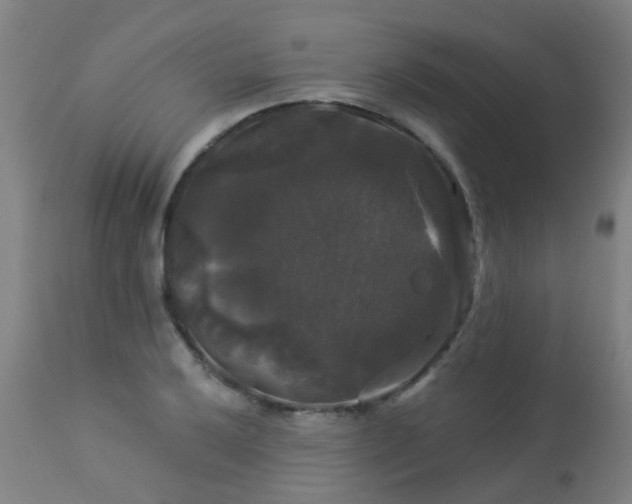 X0000114181032200910221709