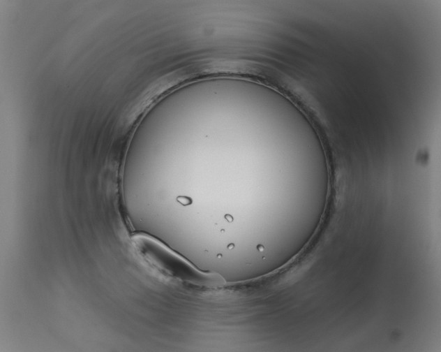 X0000114181033200910221709