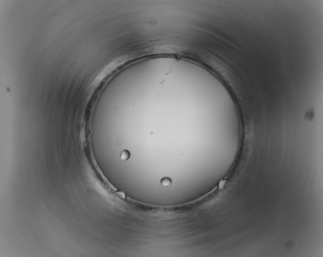 X0000114181034200910221709