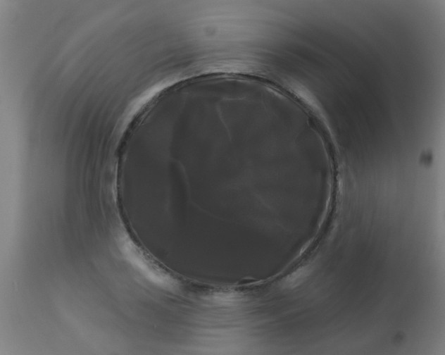 X0000114181035200910221709