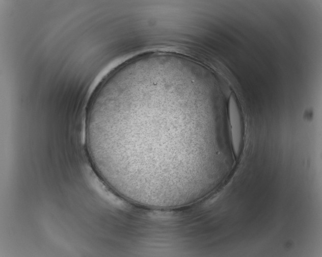 X0000114181036200910221709