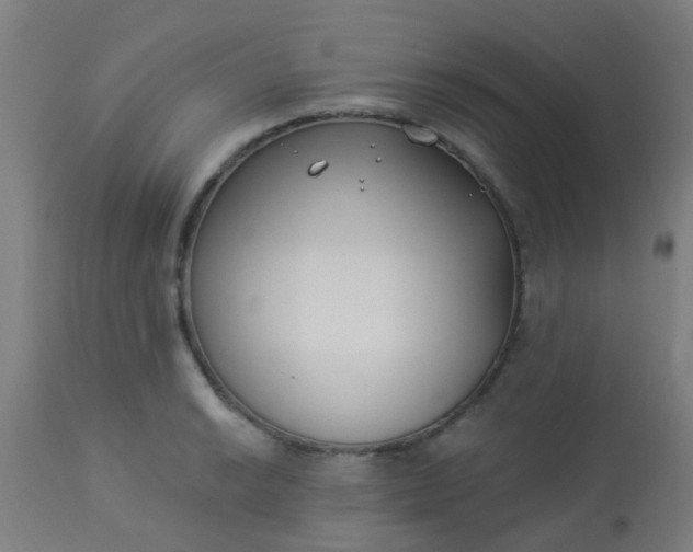 X0000114181038200910221709