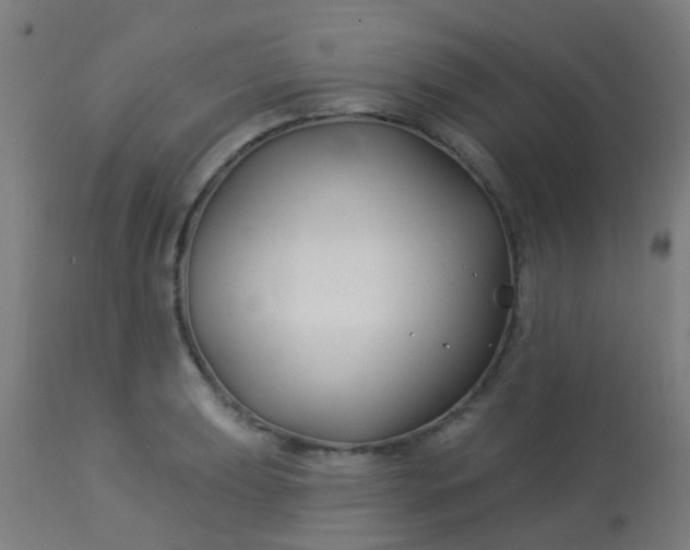 X0000114181039200910221709