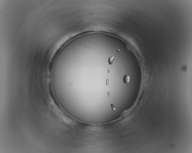 X0000114181040200910221709