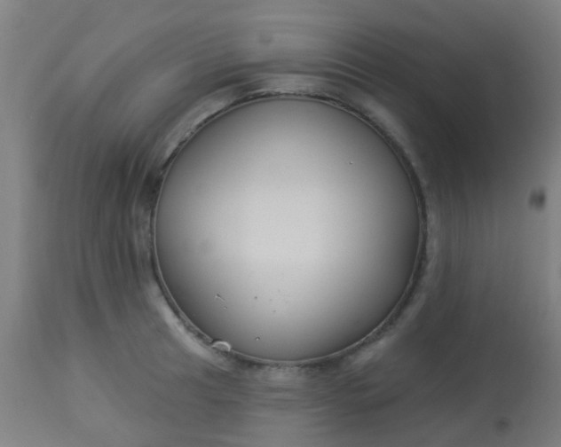 X0000114181041200910221709