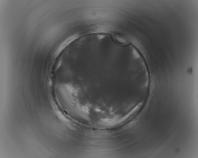 X0000114181042200910221709