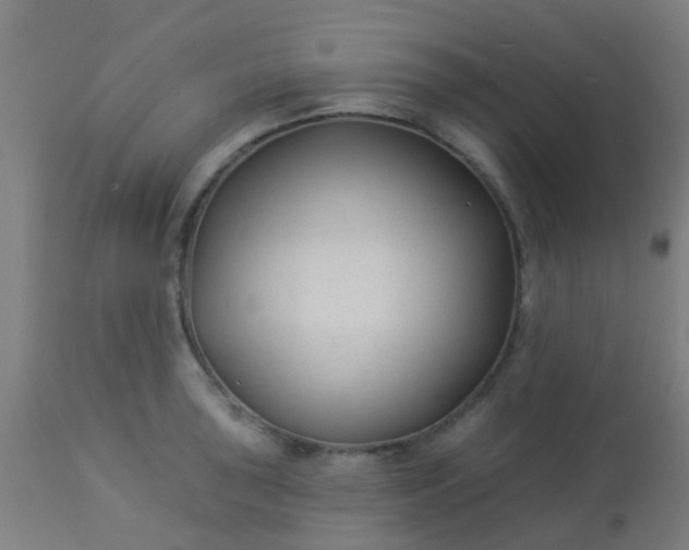 X0000114181043200910221709