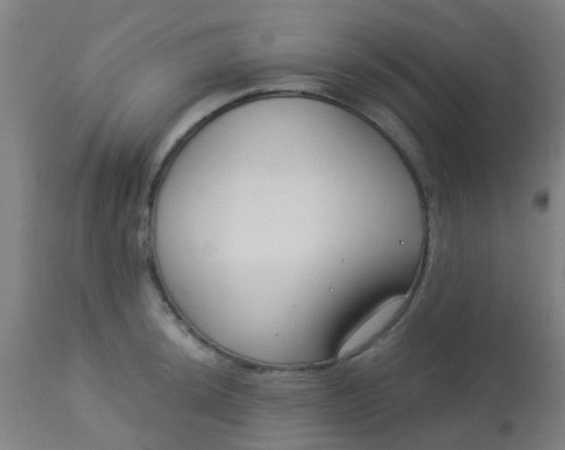 X0000114181044200910221709