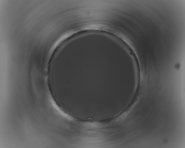 X0000114181045200910221709