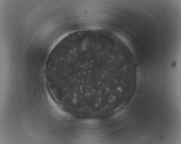 X0000114181047200910221709