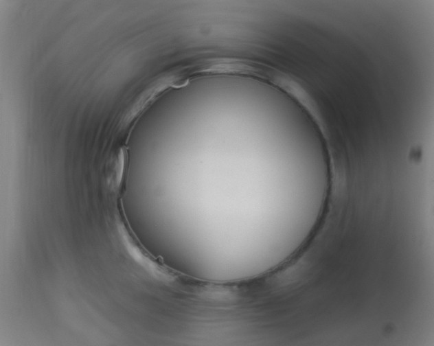 X0000114181049200910221709