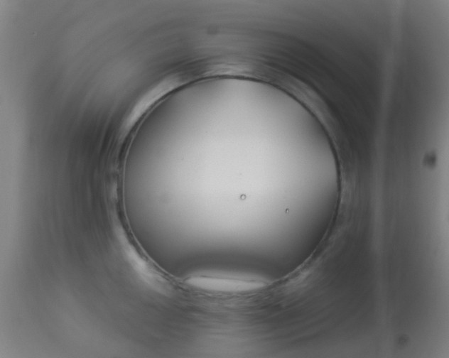 X0000114181050200910221709