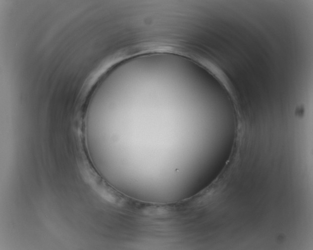 X0000114181051200910221709