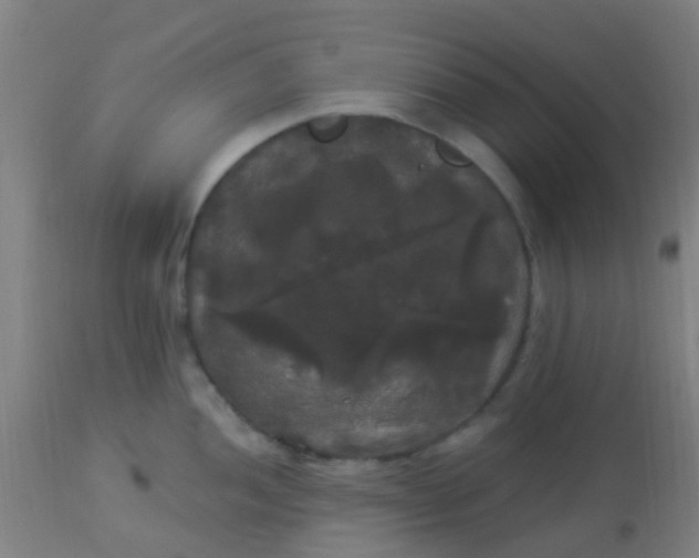 X0000114181052200910221709